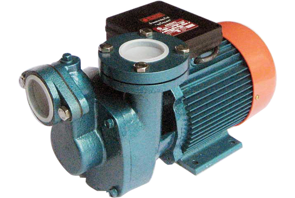 ปั๊มน้ำหอยโข่ง SINGLE PHASE ARENO CD 2 FL